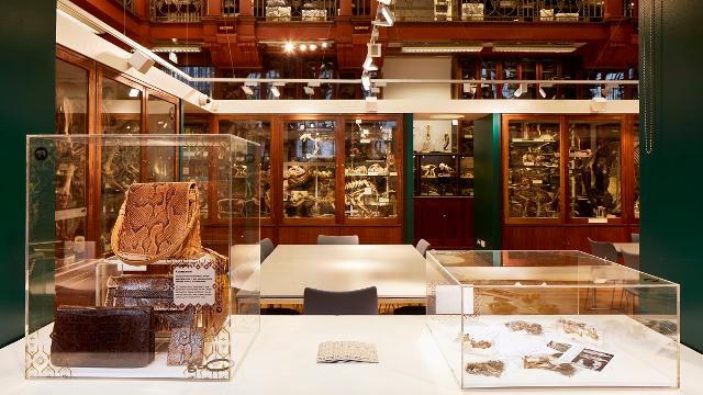 Exterior view of the Natural History Museum in London, showcasing its iconic architecture and surrounding greenery
